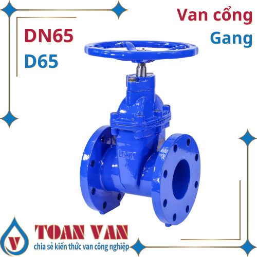 van cổng gang dn 65-d65-phi 65-mặt bích